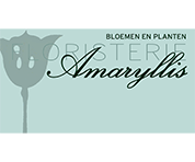 Amaryllis